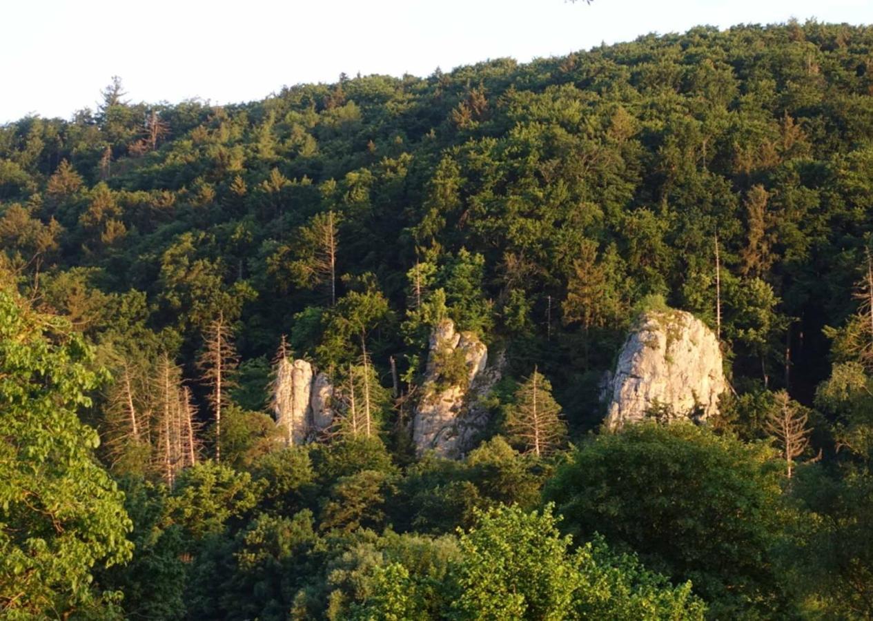 Fewo Lehner Riedenburg Kültér fotó